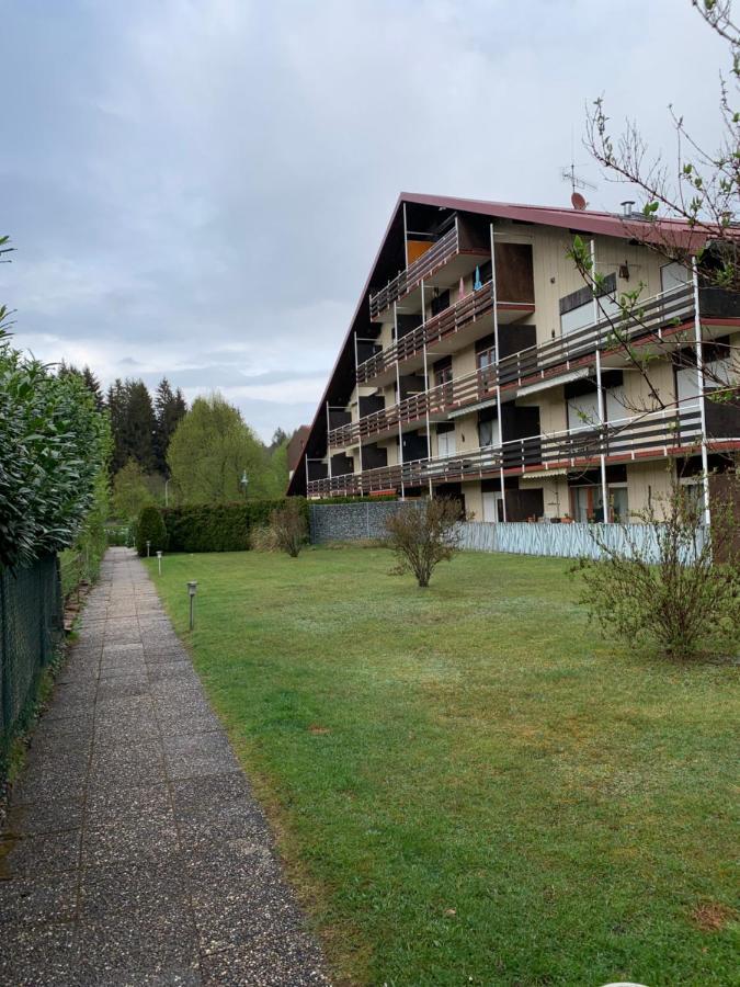 Ferienwohnung Lara Ludwigswinkel Luaran gambar